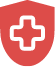 Icon of shield