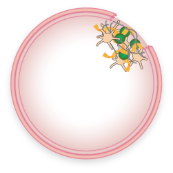 blood clot stabilization in normal blood clotting