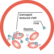 clot forms incorrectly with abnormal clotting