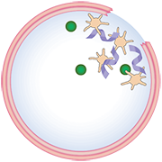 clot forms incorrectly with abnormal clotting