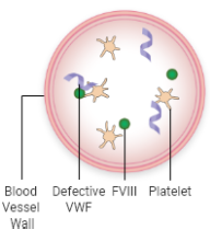 VWD before blood vessel injury