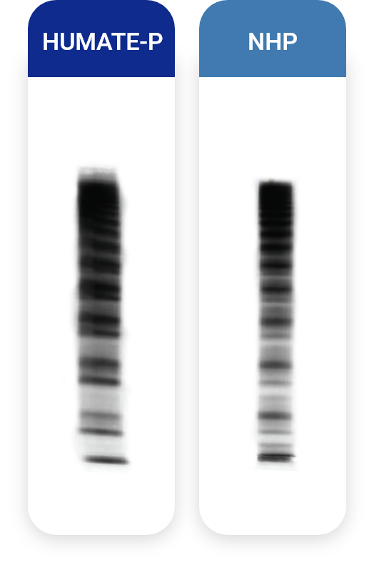 Graphic demonstrating high-molecular-weight multimer comparison in densitometric analysis