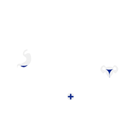 outlines of people with organs emphasized