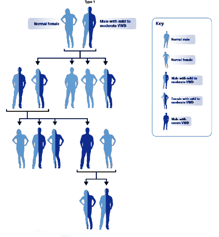 VWD family tree